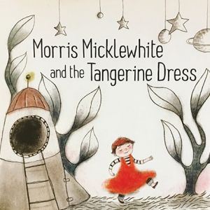 Morris Micklewhite and the Tangerine Dress book cover