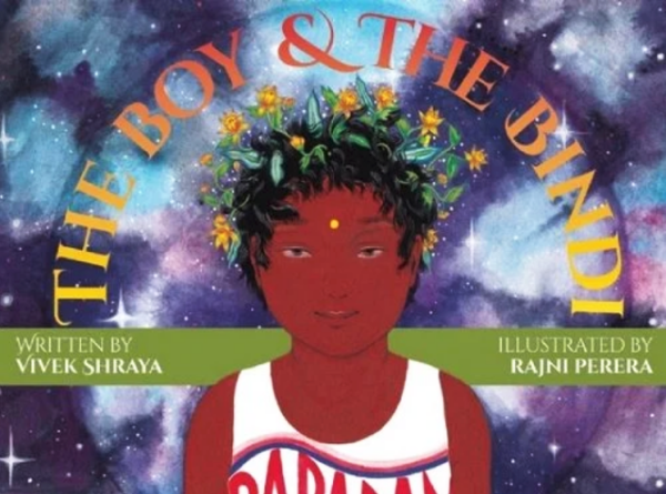 The Boy and The Bindi book cover